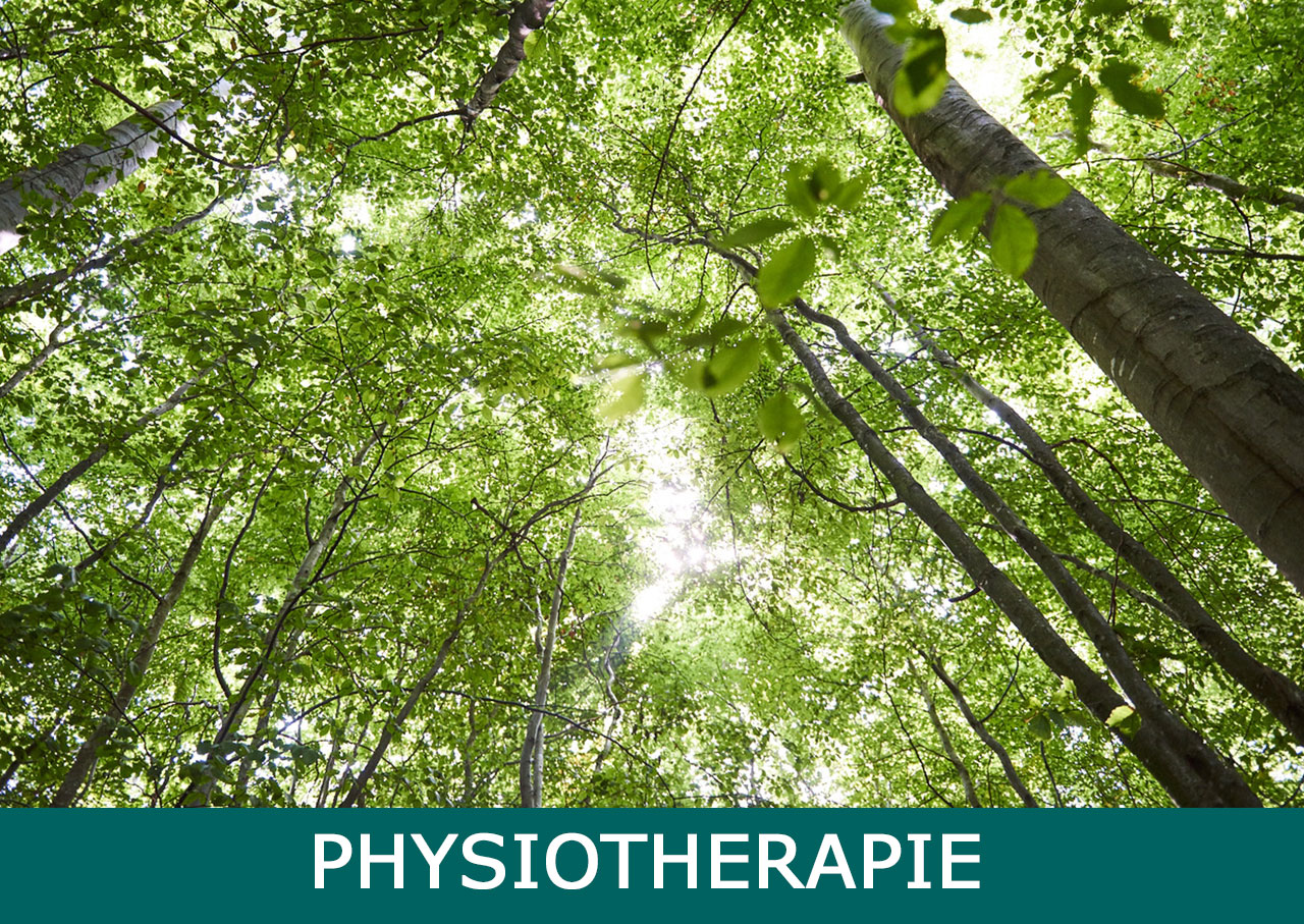 Physiotherapie